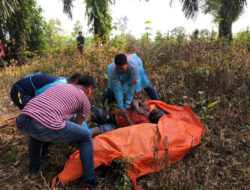 Warga Suka Ramai Rohul Dikejutkan Seorang Pria Tidak Bernyawa di Kebun Sawit, Polres Langsung Olah TKP