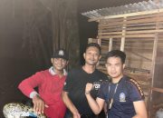 Seekor Ular Piton Berhasil Dievakuasi Oleh Tim Rescue Pleton lll Dinas Damkar dan Penyelamatan Kampar