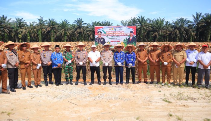 Panen Raya Jagung Dilakukan PT Tasma Puja, Bentuk Komitmen Dukung Ketahanan Pangan Nasional
