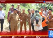 Bupati Rohul Tinjau Perbaikan Jembatan Sungai Klubi